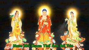 Nhạc niệm Phật | Nam Mô Quan Thế Âm Bồ Tát | Thanh tịnh, nhẹ nhàng, bình an