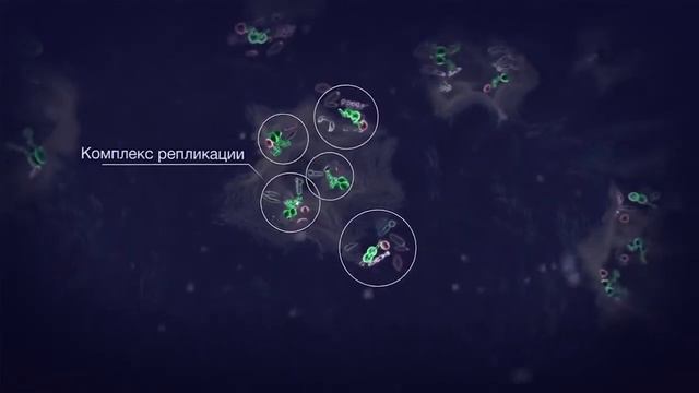 Как работает Даклатасвир? Научным языком смотреть онлайн