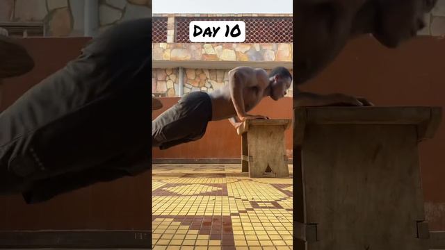 1000 daily push up (2 weeks result)