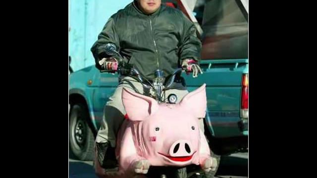 Andrei Samardac vs Injir - Marcel din frigider смотреть онлайн