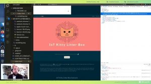 Building an IoT Kitty Litter Box | Twitch Live Coding