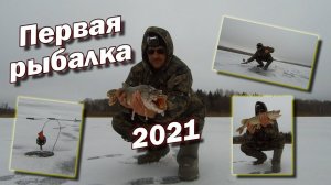 Первая рыбалка 2021 Фиксация жерличного флажка Установка жерлицы