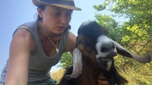 Дали козлу свободу, чтобы он себя показал во всей красе. Но в результате получили ...