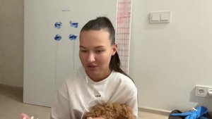 Первая собака, негативный опыт. Почему не переехала в Берлин. Как я завела той пуделя.