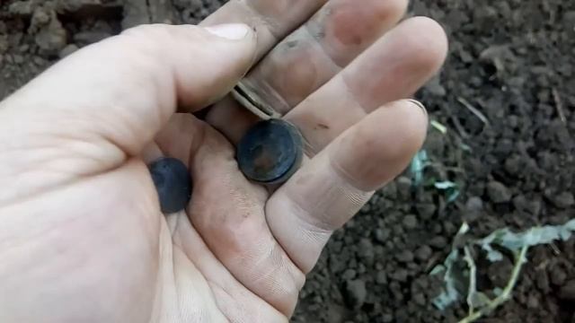 РАСПАХАЛИ ПОСЕЛЕНИЕ ВРЕМЁН КИЕВСКОЙ РУСИ.  Находки 10-15 век ДОМОНГОЛ