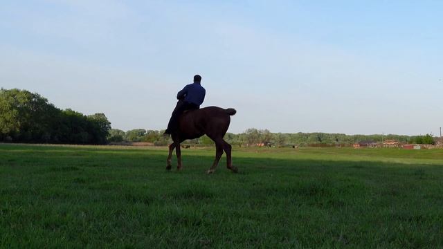 В селе Бено-Юрт Чечня - Жизнь в деревне _ обычная жизнь деревенских