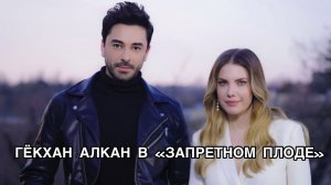 ГЁКХАН АЛКАН В "ЗАПРЕТНОМ ПЛОДЕ". Турецкий сериал "Запретный плод". Гокхан Алкан. Gökhan Alkan.