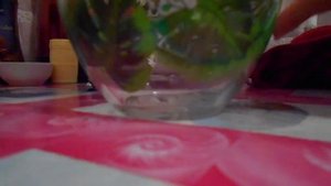 Желе из пачки