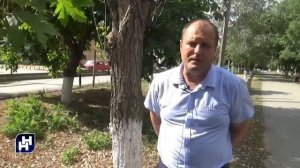 Китайский ясень