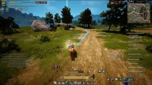 Black Desert достаем лодку из "Реки Баленоса"