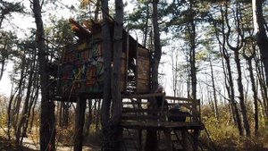 Щепкинский лес. Ноябрь 2020