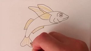 Рисуем летающую рыбу