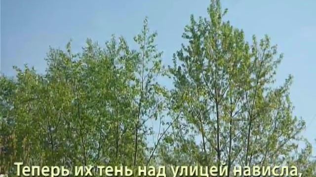 "Тополя" - К. Ваншенкин / Вариация на тему / Поем песни. смотреть онлайн