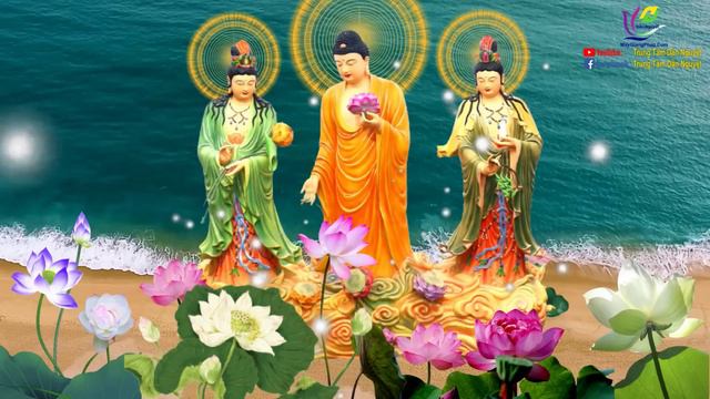 Nhạc Niệm Phật MỚI, Nghe Nhẹ Lòng,Dễ Ngủ, Phật Phù Hộ Gia Đình BÌNH AN MAY MẮN,Trung Tâm Dần Nguyệt смотреть онлайн