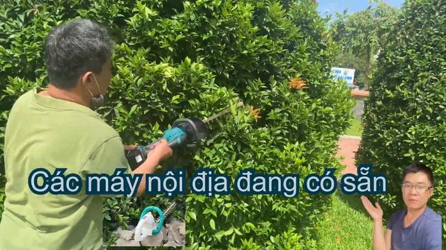 Khách hàng test máy tỉa cành Makita 18v của Cửa hàng long смотреть онлайн