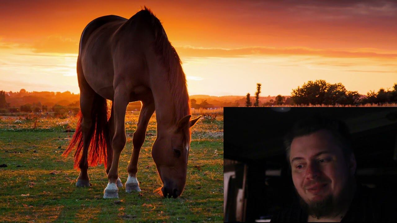 Как я стал ПРАНОЕДОМ | ВОЗРОЖДЕНИЕ ЧЕЛОВЕЧЕСТВА ч.7 смотреть онлайн