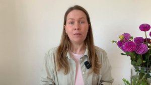 Как отмыть КОШАЧЬЮ МОЧУ - ТОП-3 средств | Убрать запах мочи кошки | Избавиться от запаха меток кот