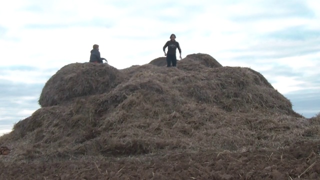 игры на сене в деревне смотреть онлайн