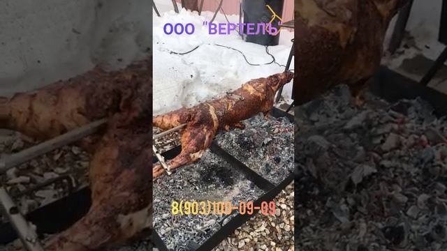 Комплект для жарки барашка от ООО ВЕРТЕЛЪ