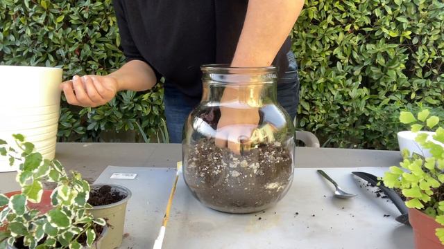 Terrario facile per tutti | fai da te e Bricolage смотреть онлайн