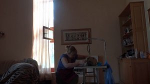 тримминг засыпающего керн терьера :)