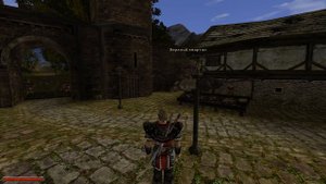 Прохождение Gothic II Классическая #11 Поступаем на службу в орден,становимся паладином