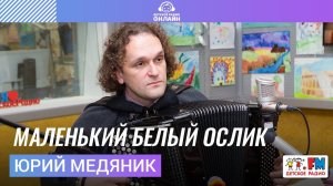 Юрий Медяник - Маленький Белый Ослик (LIVE на Детском радио)