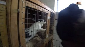 ВЛОГ! Прокатились на СНЕГОХОДЕ по зимнему лесу,и не только???Получили подарки от Деда Мороза/Семья