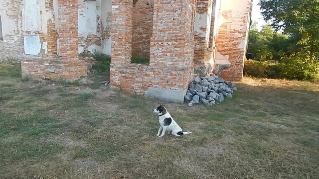 Об мистической усадьбе Яремы Вишневецкого и не только ... село Хорошки Лубенский район смотреть онлайн