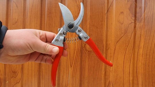 САДОВЫЙ ВАР больше не нужен!!! смотреть онлайн