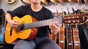Guitar classic Valencia VC264T | Shop Guitar Quy Nhơn
