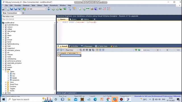 The LENGTH() and INSERT() Functions in SQL with Example