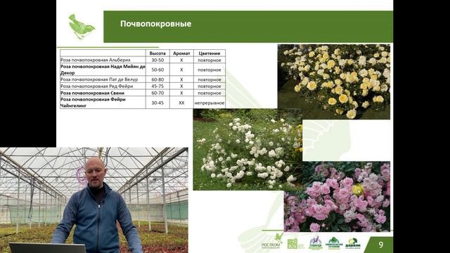 Обучающие семинары часть 8 Розы смотреть онлайн