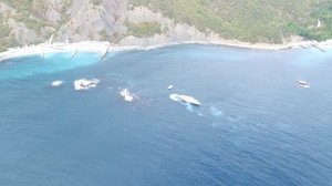 13.10.2016 Спасательные работы