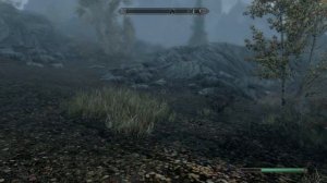 Skyrim - A fox named Bazil