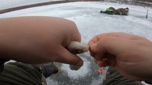Глухозимье?! Отлично половили карася в январе. Рыбалка 2020.