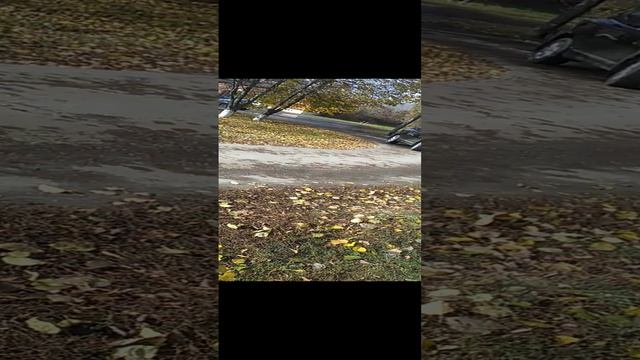 VID_20231025_113328 смотреть онлайн