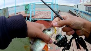 МОРМЫШИНГ_ Ветер не помеха, нарезка РУЛИТ!!!.mp4