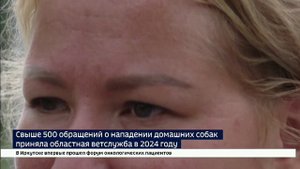 Большее пятисот обращений о нападении домашних собак поступило в службу ветеринарии Иркутской област