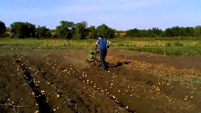 Мотоблок Протон МБ-50 смотреть онлайн