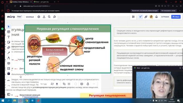 Регуляция пищеварения