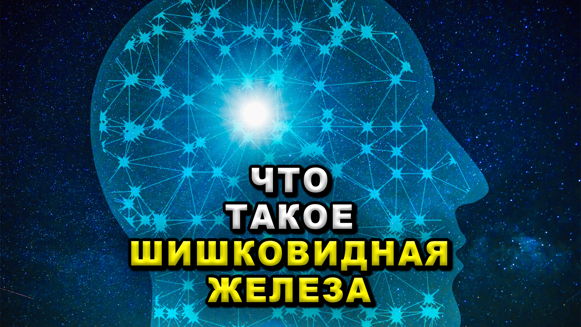 Что такое шишковидная железа