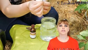 НЕТ ЗАВЯЗЕЙ на томатах, перцах, баклажанах? ЧТО ДЕЛАТЬ?