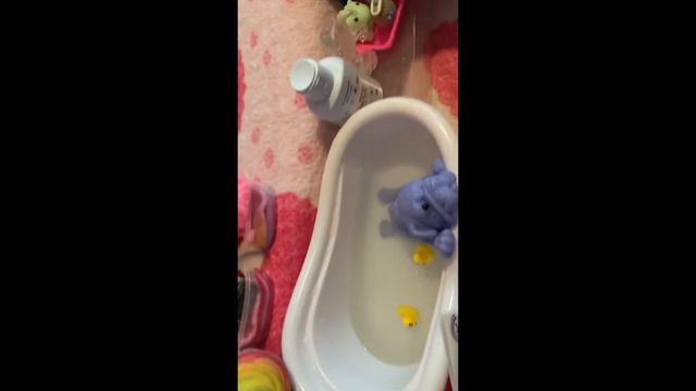 КАК правильно КУПАТЬ сквиши СОБАЧКУ