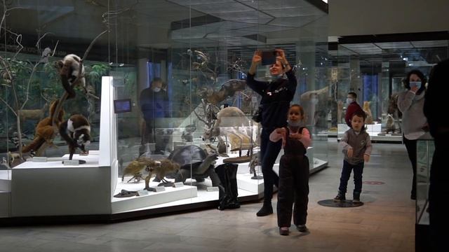 Обзор и отзыв - Дарвиновский музей г. Москва смотреть онлайн