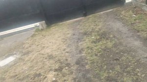 Карбюратор от Альфы на питбайке 140 кубов ( yx 140)