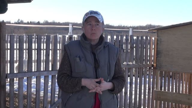 Из чего может складываться доход частной конюшни. часть 2