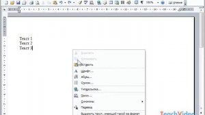 Работа с контекстным меню в Microsoft Word 2003 (6/49)