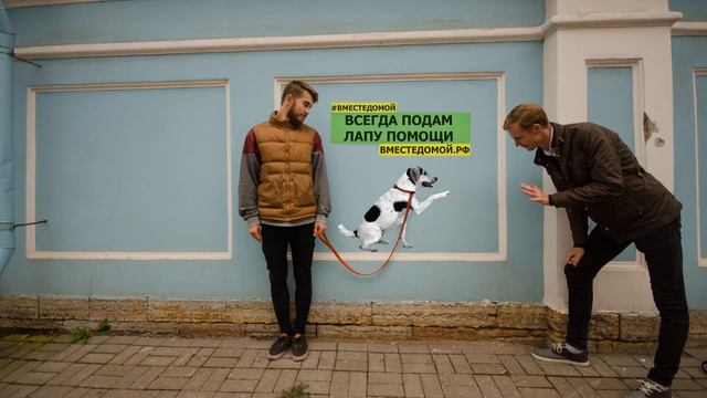 #ВМЕСТЕДОМОЙ смотреть онлайн