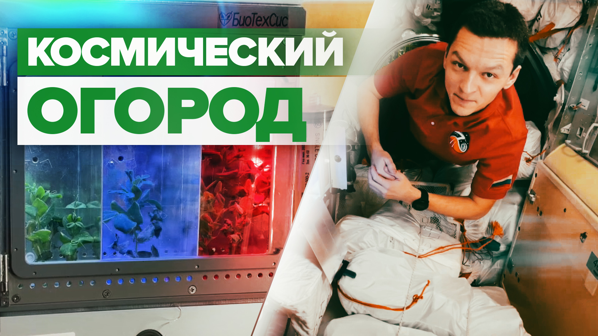 Растения в невесомости: российский космонавт показал оранжерею на МКС